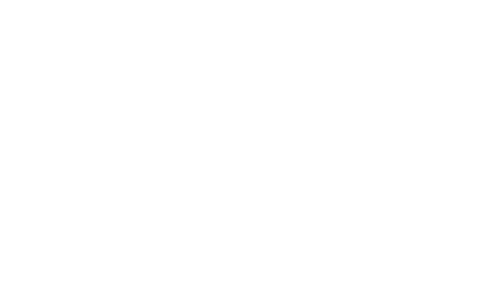 Sarnia Braves Baseball Association